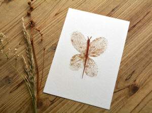 Poster A5: ‘Butterfly’